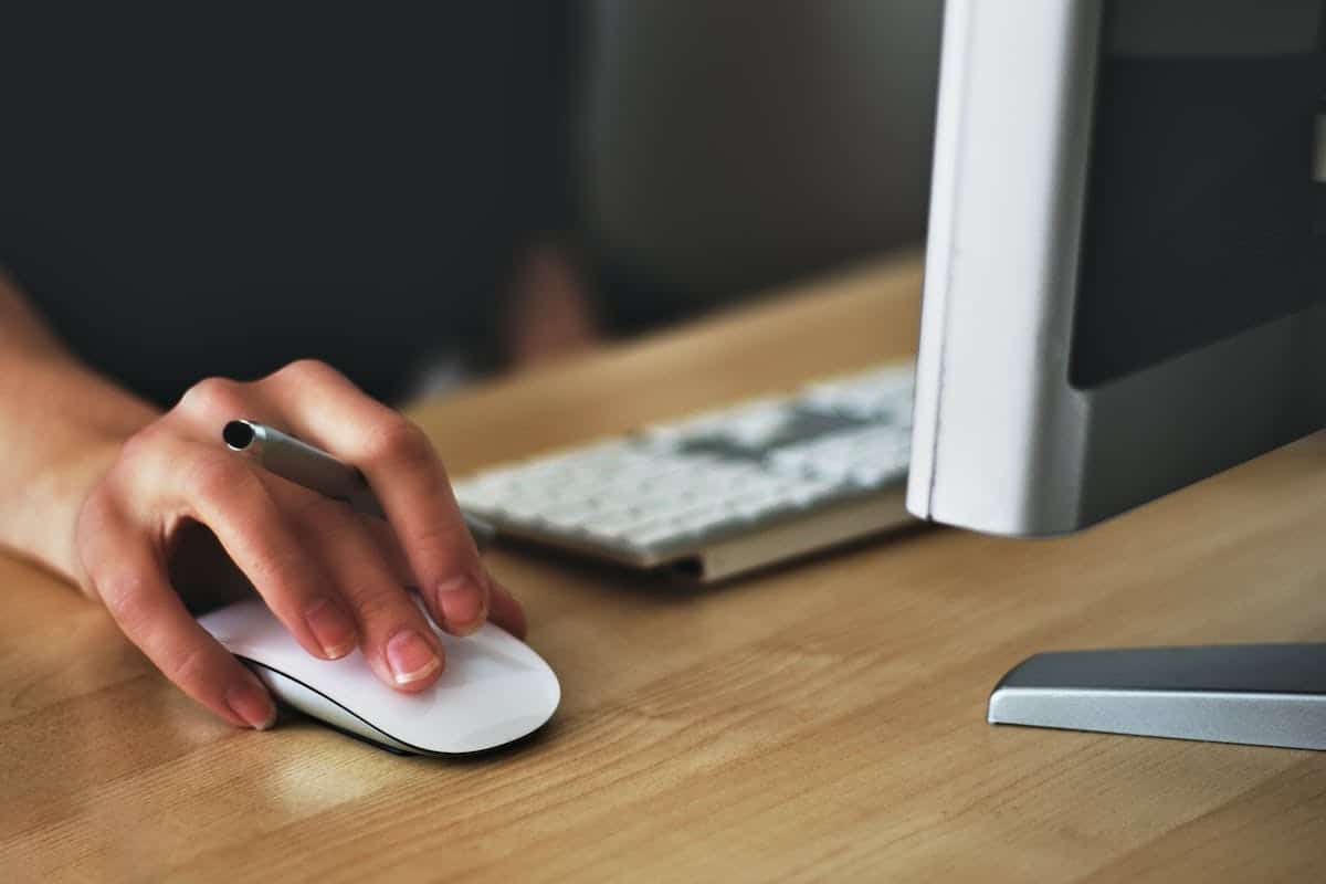 freelance  salaire