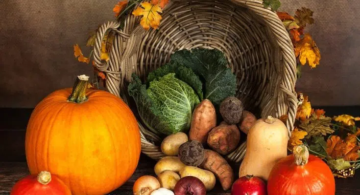 Faire appel à un fournisseur renommé pour les légumes