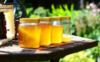 Que faut-il savoir à propos du miel customisé ?